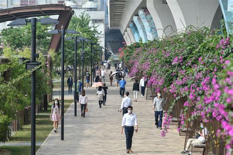 九龍東北地區|起動九龍東經驗分享